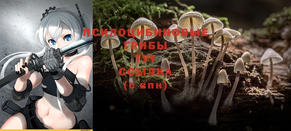 гашик Армянск
