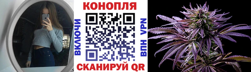 Конопля гибрид  Саров 